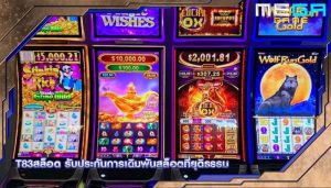 t83สล็อต รับประกันการเดิมพันสล็อตที่ยุติธรรม